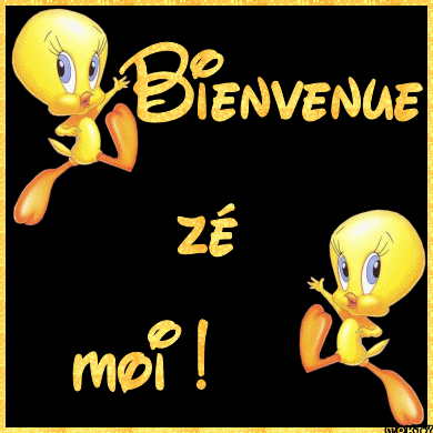 Bienvenue Zé moi !